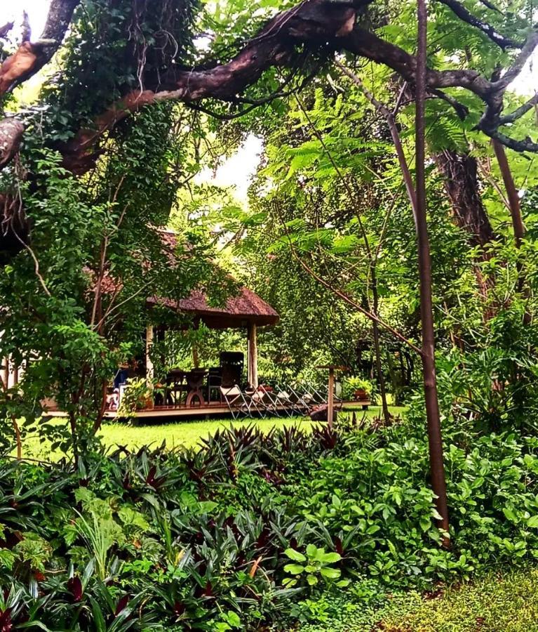 The Maun Studios Exterior photo