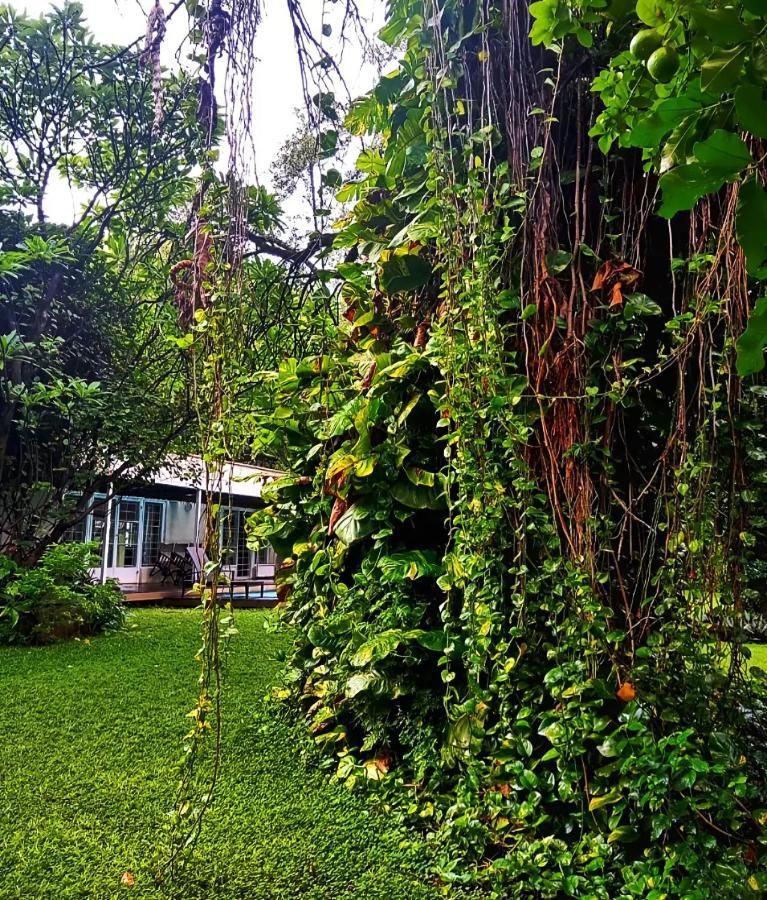 The Maun Studios Exterior photo